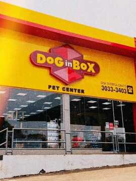Frente da loja Dog in Box com fachada em amarelo e vermelho.